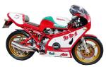 Racer & Café Racer