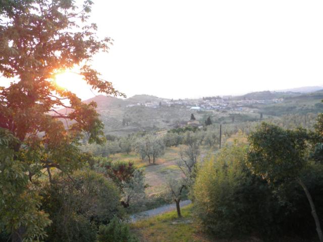 dscn6903.jpg