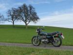 Z650B dunkelgrün
