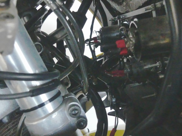 P1230649.jpg