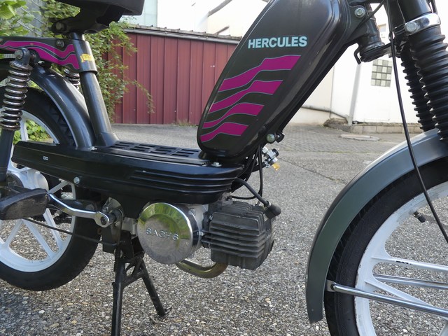 P1230788.JPG