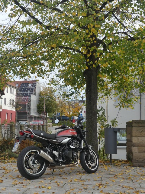 P1250408.JPG