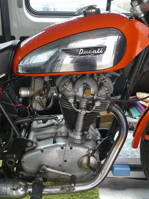 P1260667-L.jpg
