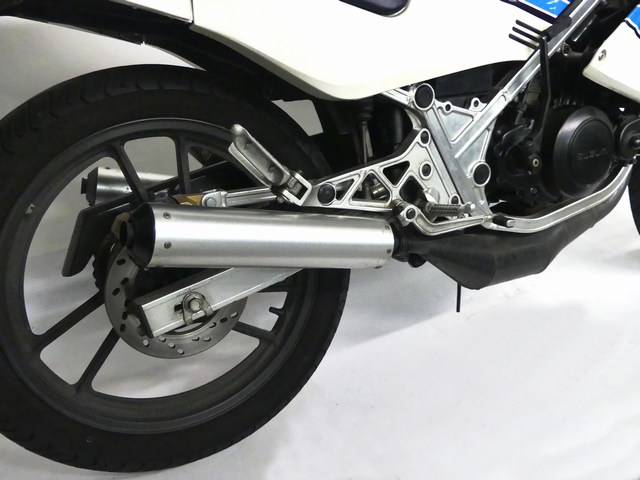 P1300007.jpg