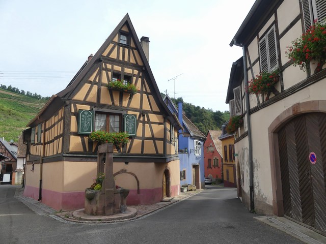 P1300061.JPG