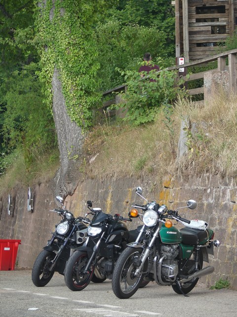 P1300087 .JPG