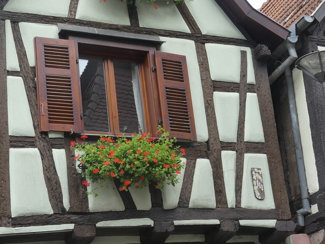 P1300088j.JPG