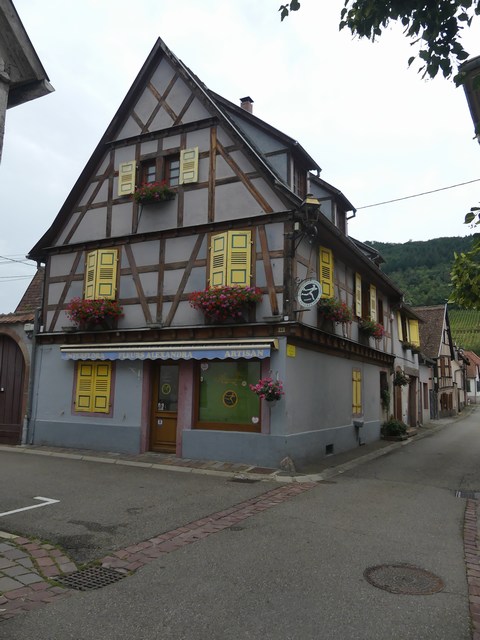 P1300113.JPG