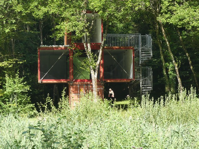 Bild