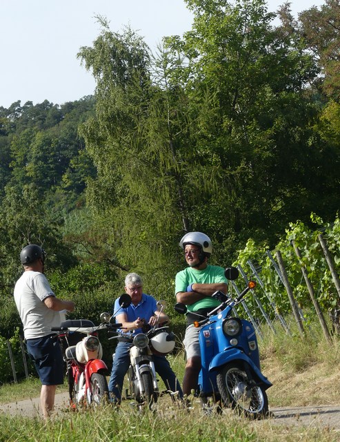 P1310055.jpg