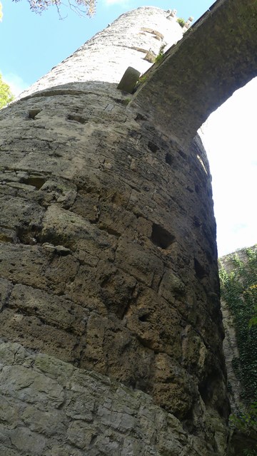 P1330257a.JPG