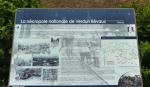 P1390036.jpg