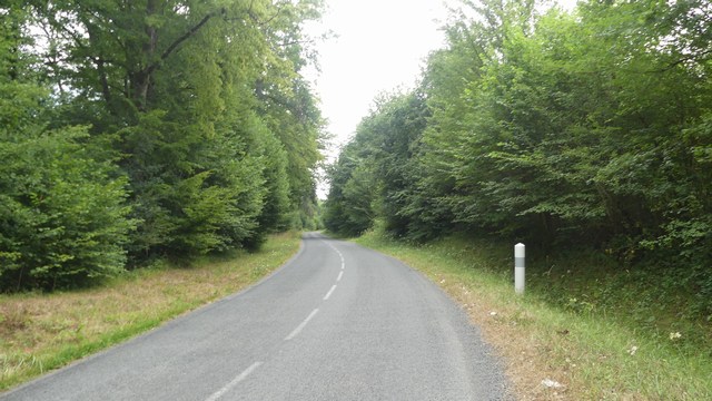 P1390105a.JPG