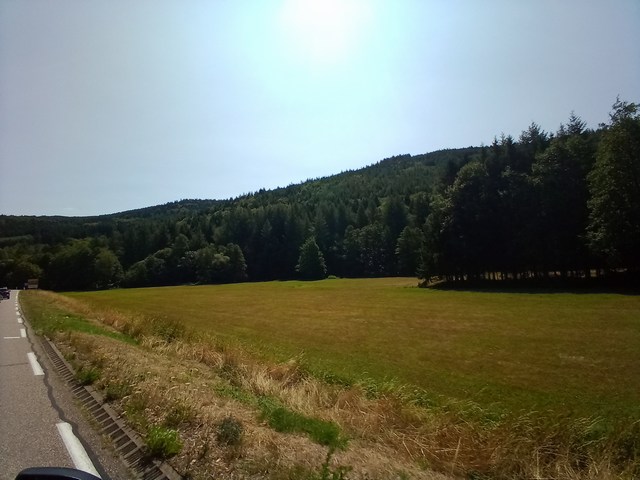 P1390554.JPG