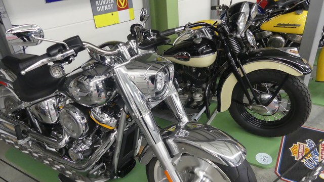 P1400586.JPG