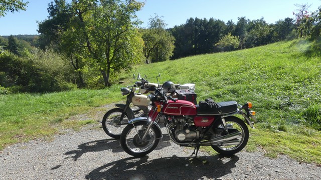 Bild