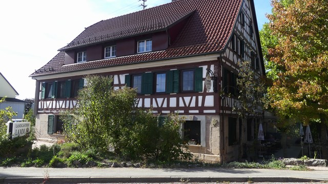 Bild