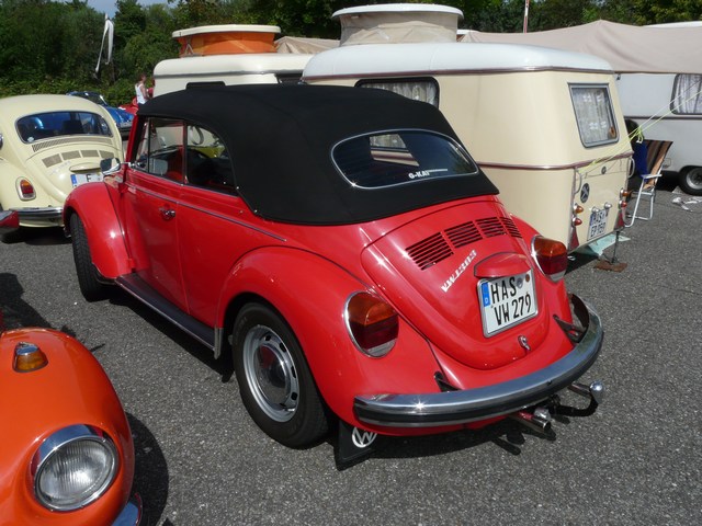 mini-P1030210a.JPG