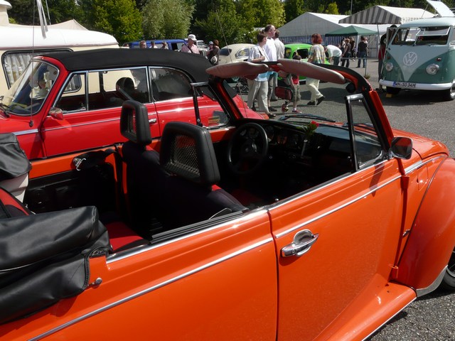 mini-P1030210b.JPG