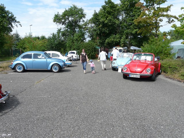 mini-P1030234.JPG