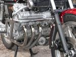 CBX