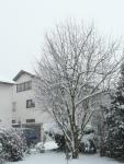 mini-11-10-Schnee.jpg