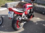 mini-100_5677.jpg