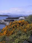 06070-Br__cke nach Skye.jpg