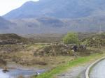 06086-Abzweig Sligachan.jpg