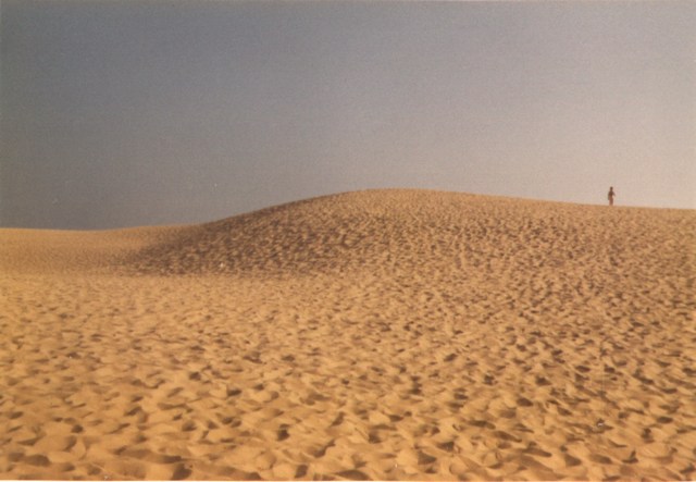 mini-19-Dune de Pilat.jpg